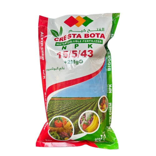 كريستا بوتا